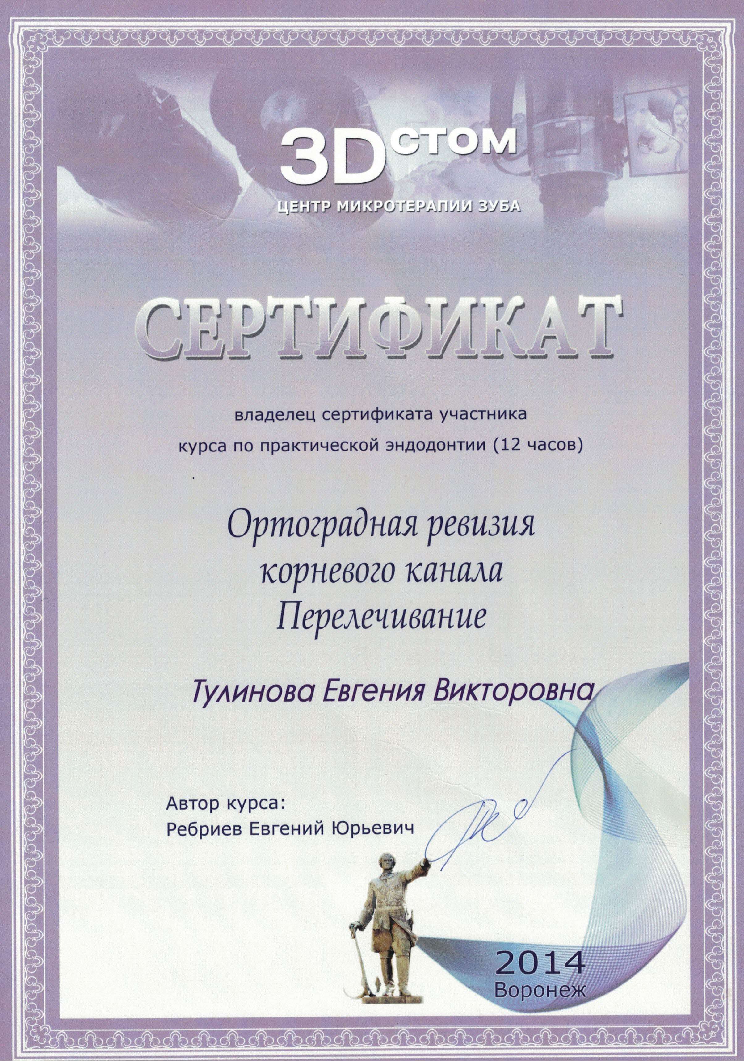 Сертификат Тулиновой Е.В.