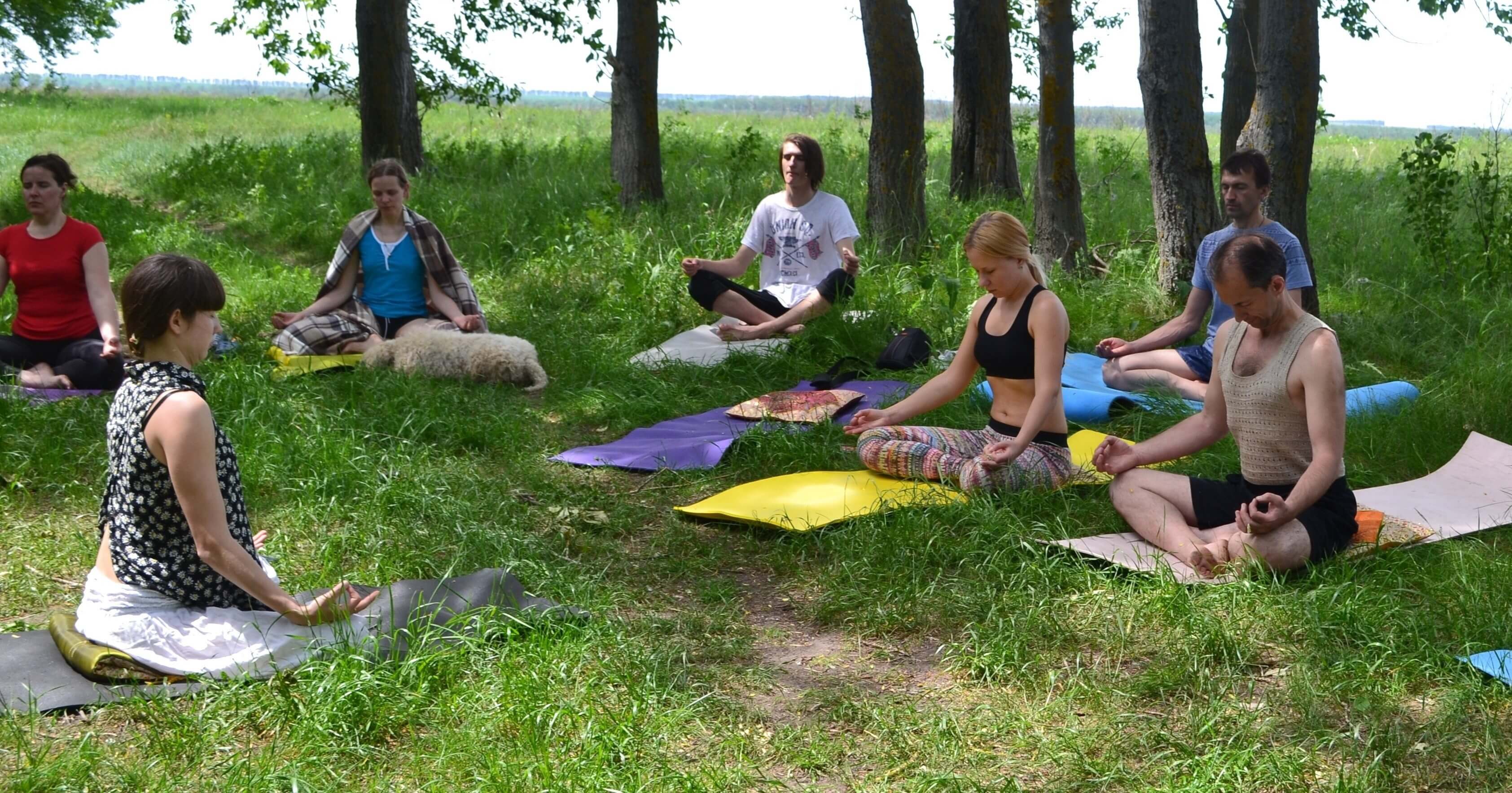 Студия йоги и оздоровительных практик "Namaste"